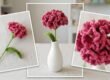 carination flower crochet